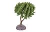 Arbre miniature, env. H 9 cm