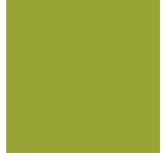 Acrylic paint Solo Goya Triton Acrylic Basic, 750 ml