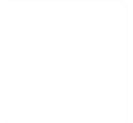 VBS Acrylic paint, 75 ml