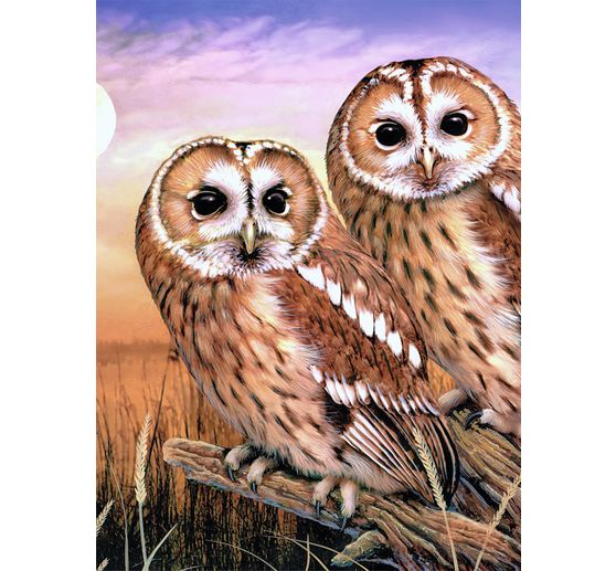 Peinture au numéro « Tawny Owls », 22 x 30 cm