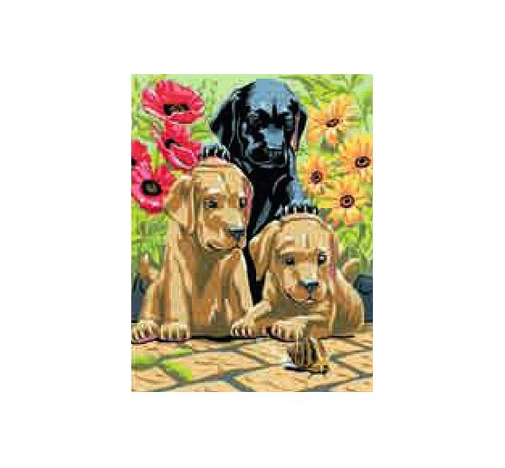 Méga-set « Art Adventure »