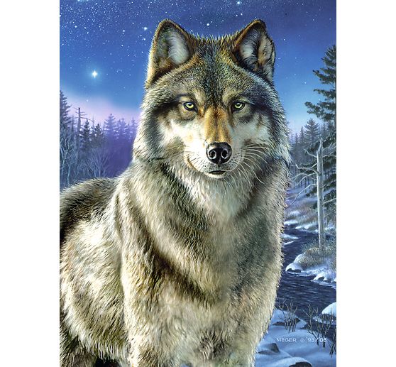 Peinture au numéro « Loup »