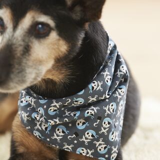 Sew Dog Scarf